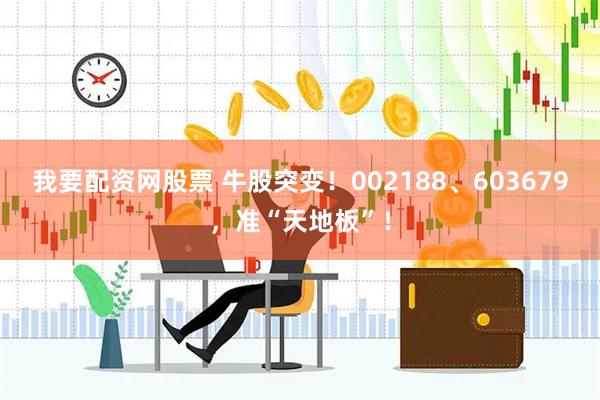 我要配资网股票 牛股突变！002188、603679，准“天地板”！