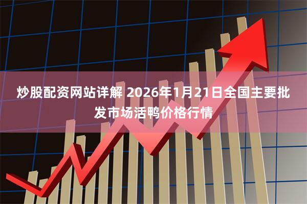 炒股配资网站详解 2026年1月21日全国主要批发市场活鸭价格行情