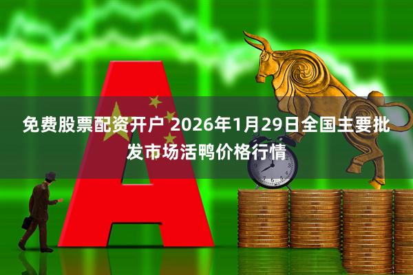 免费股票配资开户 2026年1月29日全国主要批发市场活鸭价格行情